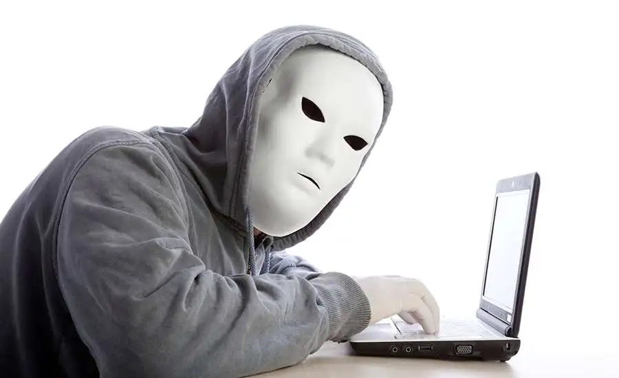 hire a white hat hacker